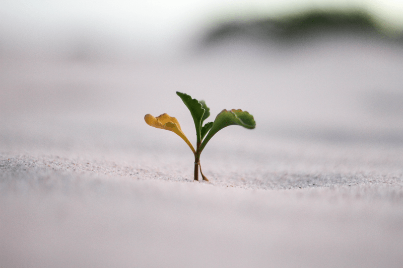 Social Media e comunicazione inclusiva